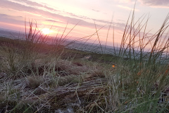 20170615_215502