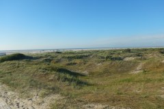 Borkum-104
