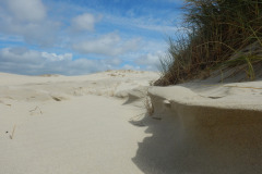Borkum-163
