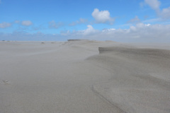 Borkum-164