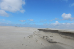 Borkum-165