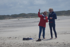 Borkum-184