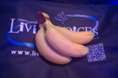 IMG-20170204-WA0012